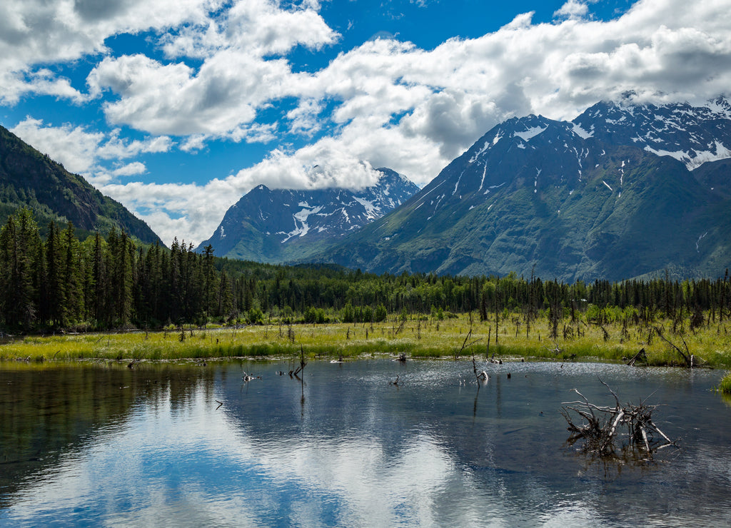 Eagle River Nature Center in Alaska