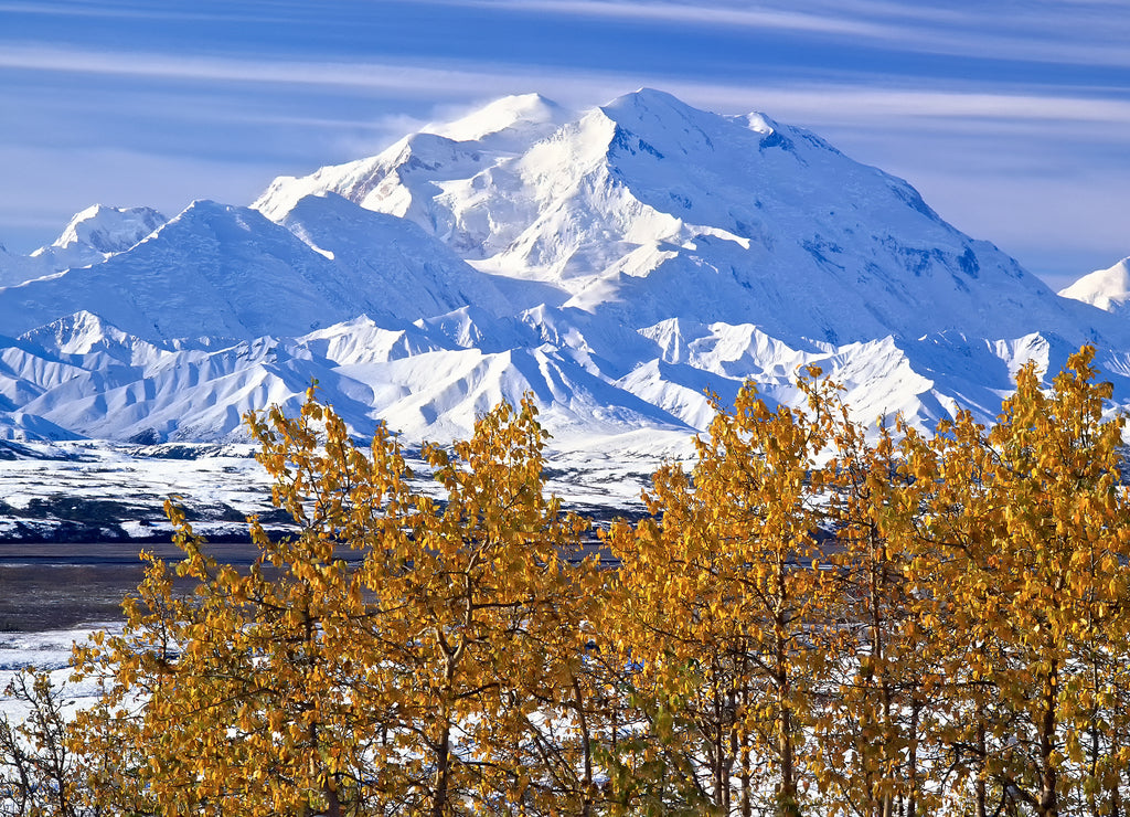 Denali after fall snowstorm; Denali National Park, Alaska