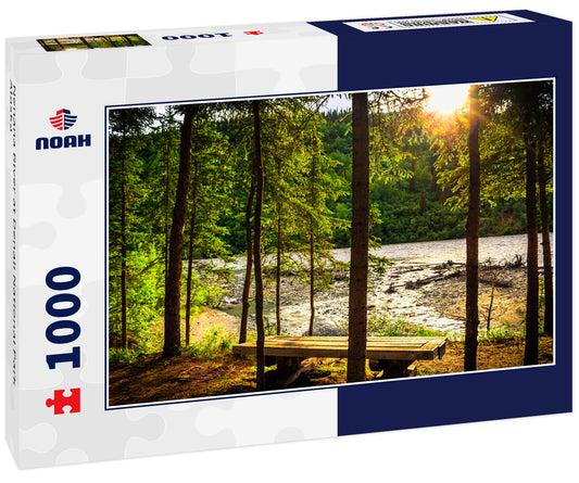 Nenana River at Denali National Park Alaska