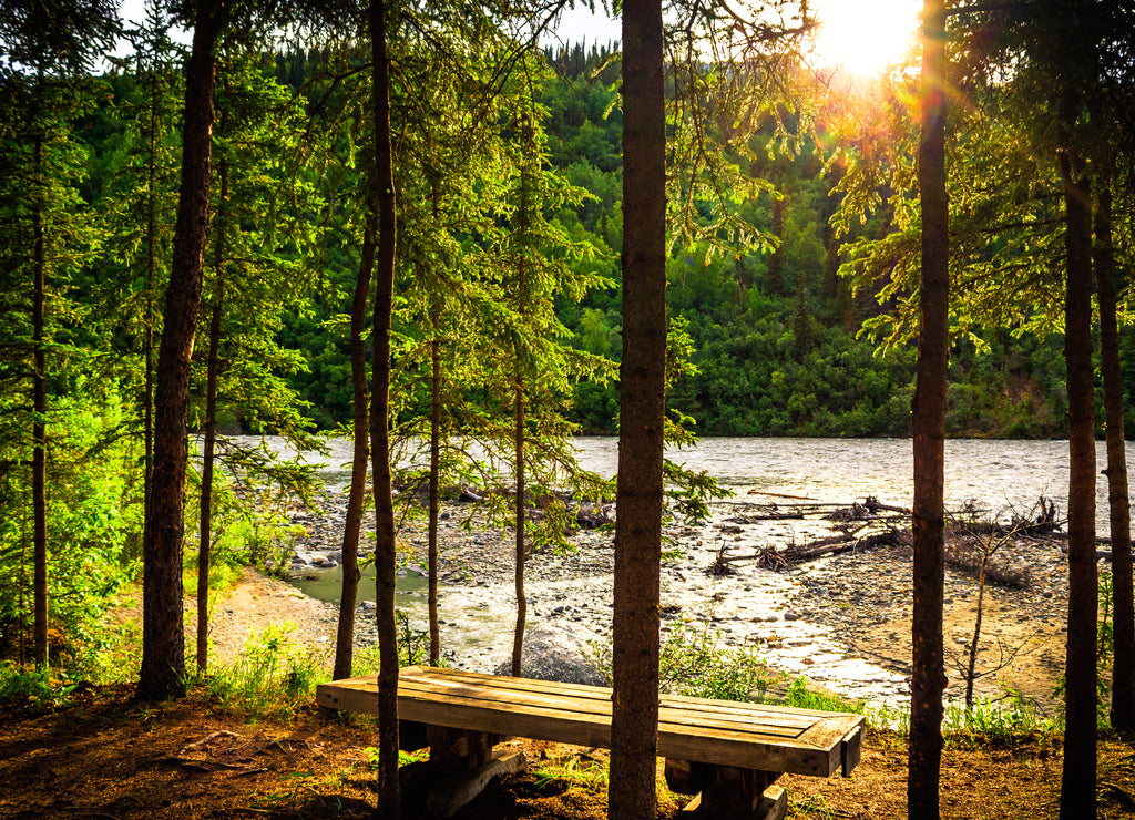 Nenana River at Denali National Park Alaska
