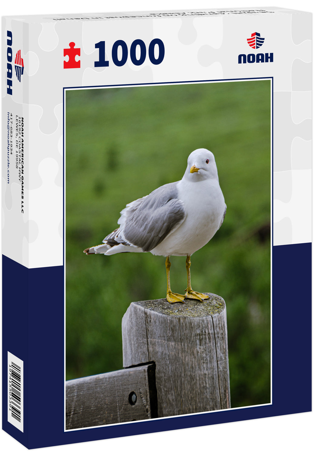 Seagull standing on fencepost in Denali National Park Alaska