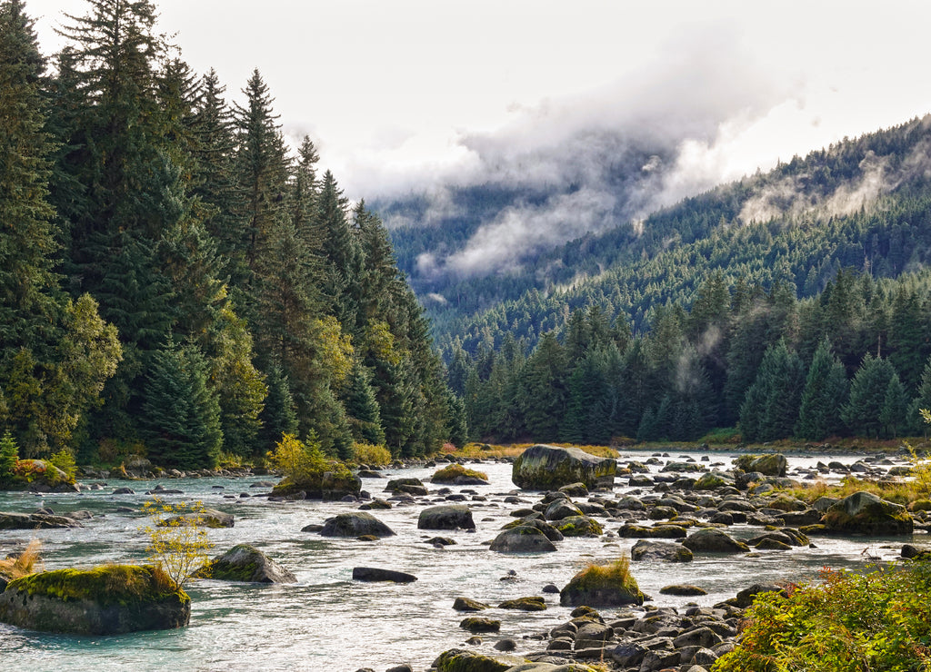 Haines, Chilkoot river in autumn, fall, Alaska, USA