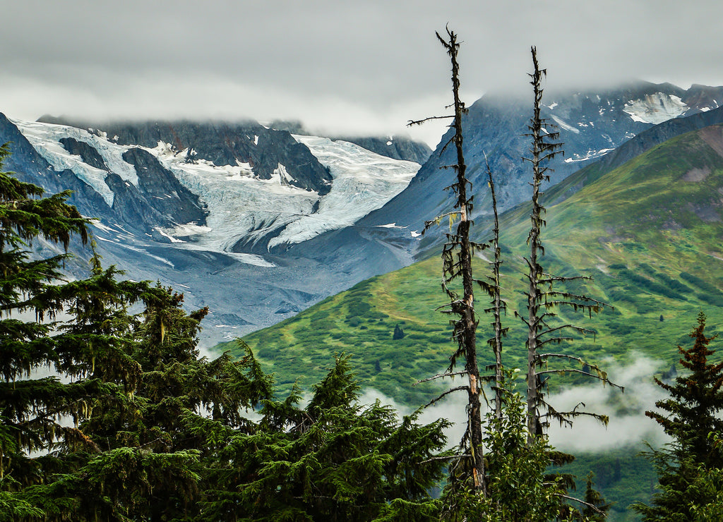 Breathtaking Glacier view between Haines nad Haines Junction, Alaska