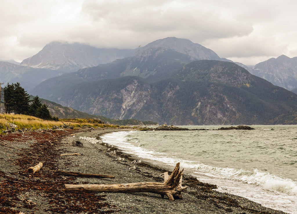 Chilkoot Inlet at Haines, Alaska, USA