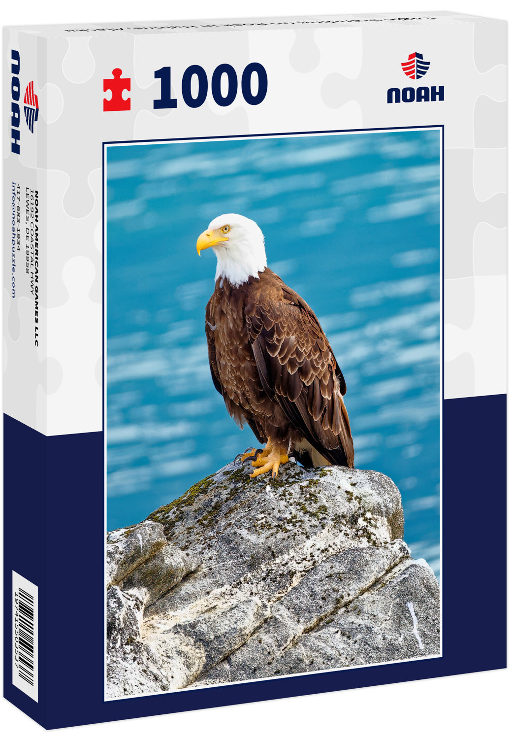 Eagle Standing on Rock in Haines, Alaska