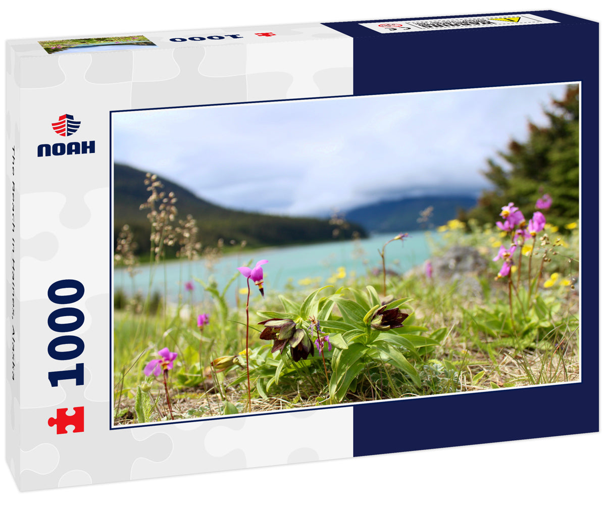 The Beach in Haines, Alaska