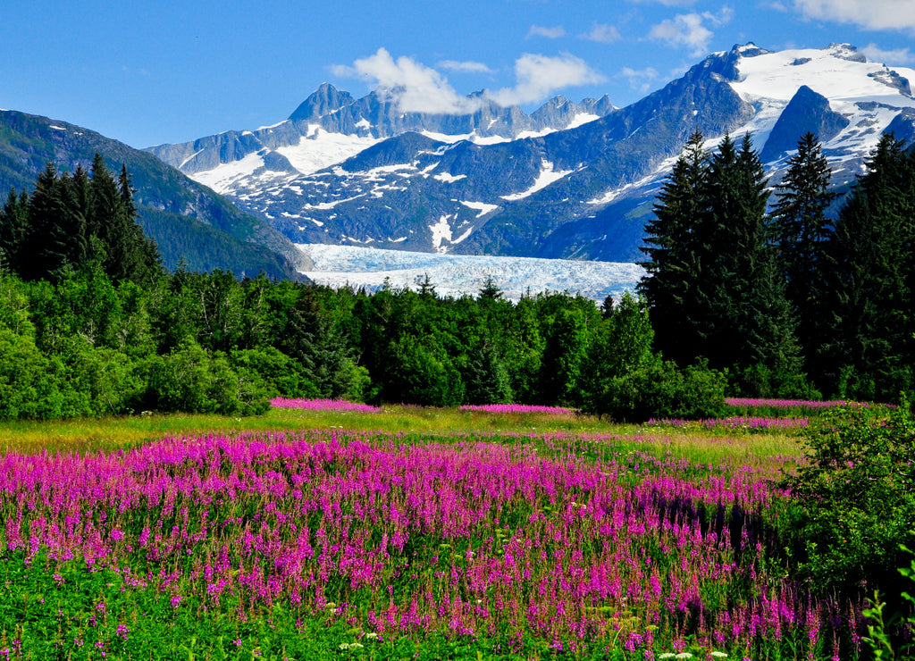 Medenhall Glacier Outlook, Juneau, Alaska