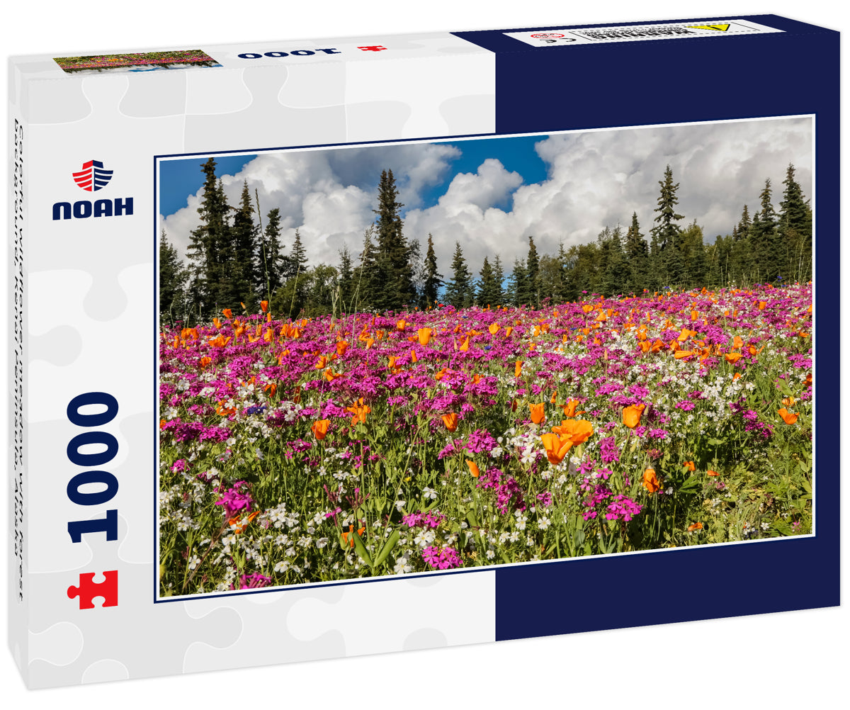 Colorful wildflower meadow with forest background, Kenai Peninsula, Alaska