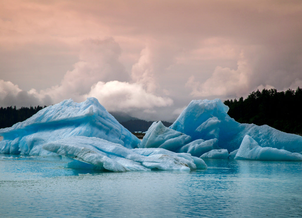 Icebergs from the Leconte Glacier. Colorful ice from the Leconte Glacier moves out to LeConte Bay on the inside passage in southeast Alaska