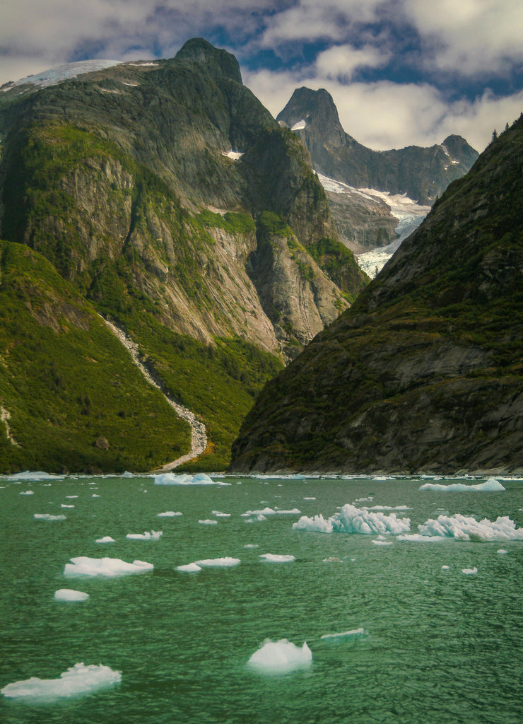 The LeConte Glacier in Southeast Alaska