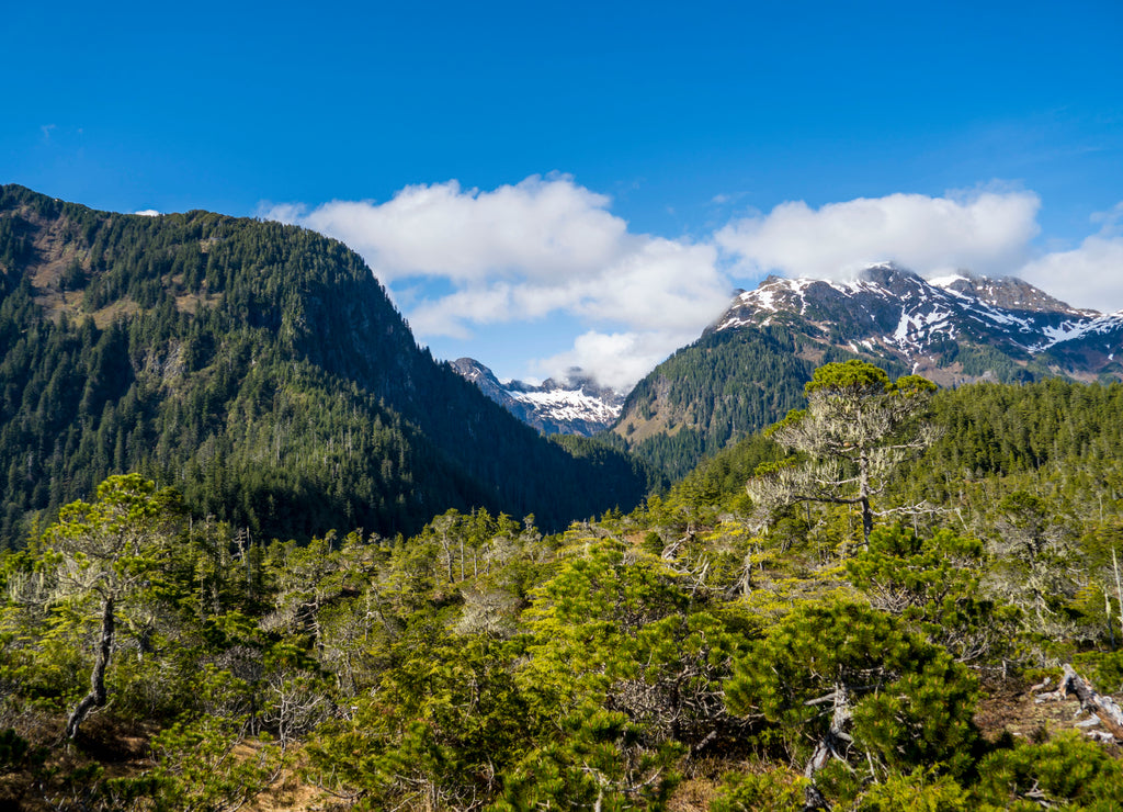 Beaver Lake Sitka Alaska