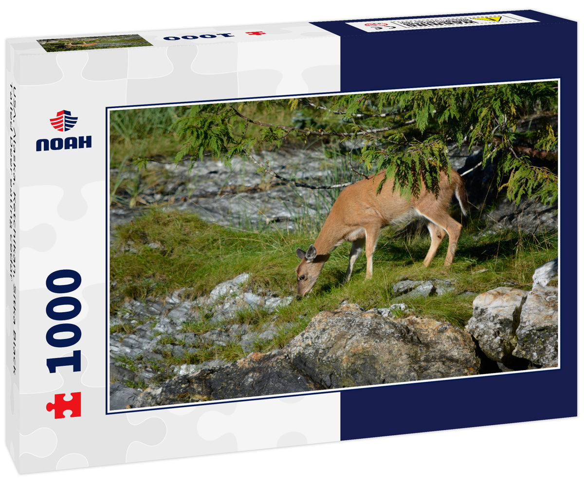 USA, Alaska, Ketchikan, Sitka Black Tailed Deer eating cedar