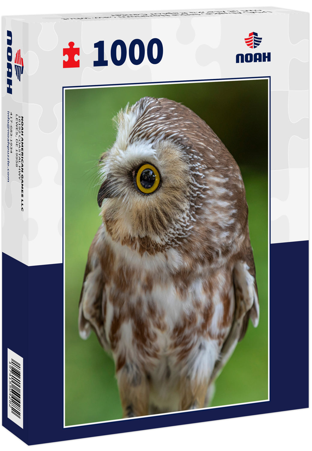 USA, Alaska, Sitka Northern saw-whet owl at Alaska Raptor Center