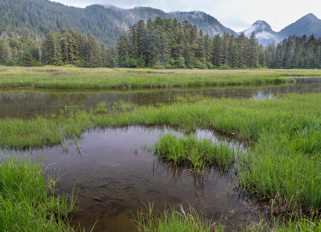 USA, Alaska, Sitka Meadow at high tide in Tongass National Forest