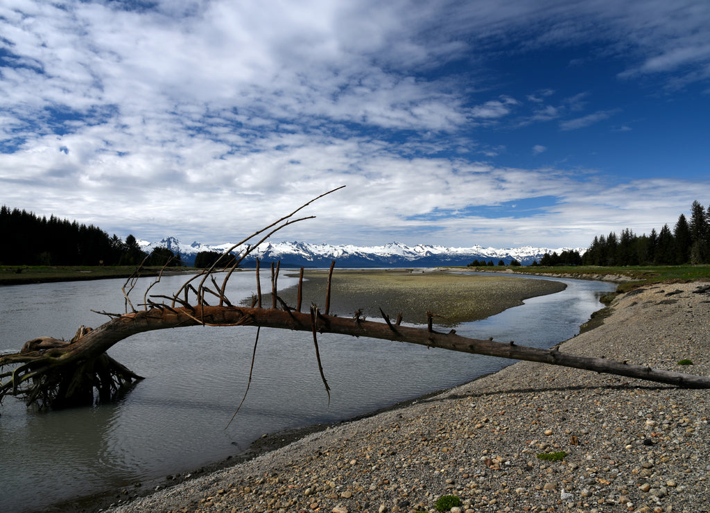 Jueau Skaway Alaska Lake Eagle Beach