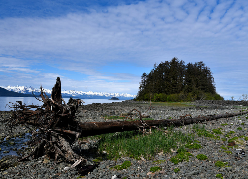 Jueau Skaway Alaska Lake Eagle Beach