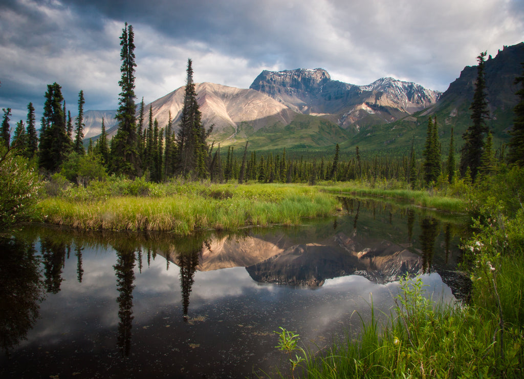 A forest pond reflects the mountains in Wrangell St. Elias National Park, Alaska