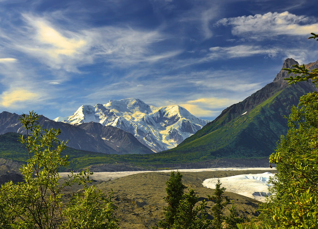 Root, Kennicott Glaciernear Kennicott Mine, Wrangell - St. Elias National Park, UNESCO World Heritage Site