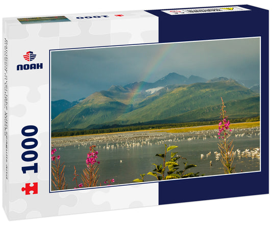 Rainbow over lake with seagulls and fireweed in Valdez, Alaska