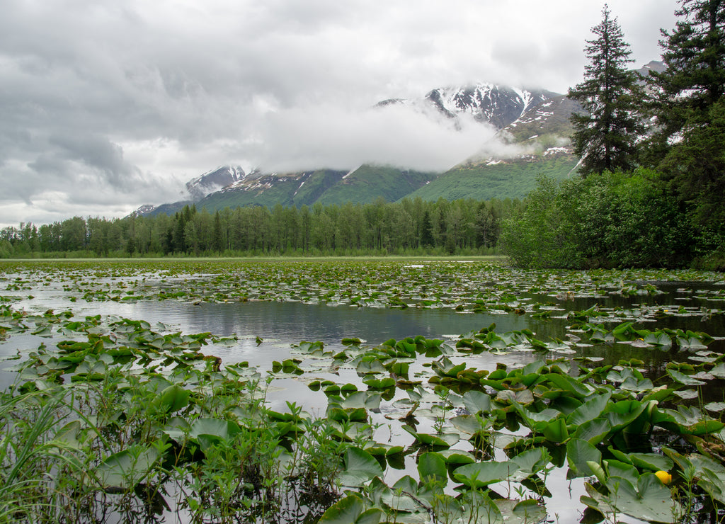 Valdez - Alaska