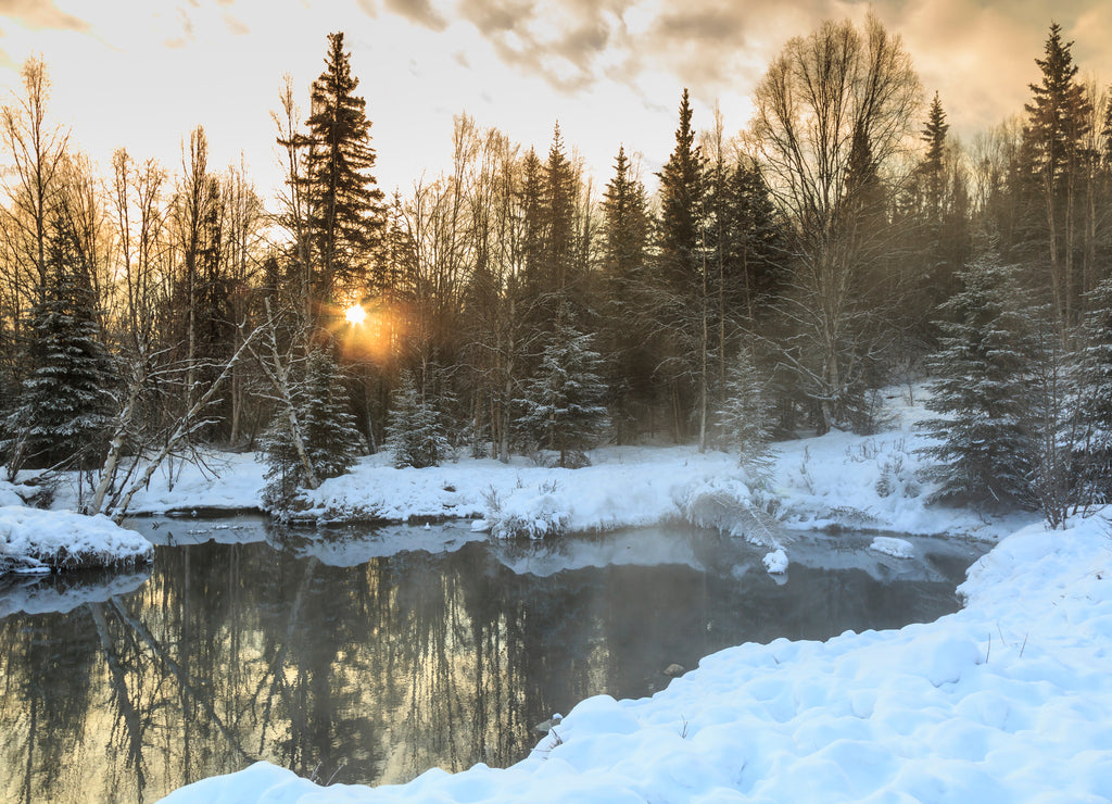 Winter scenic near Fairbanks, Alaska