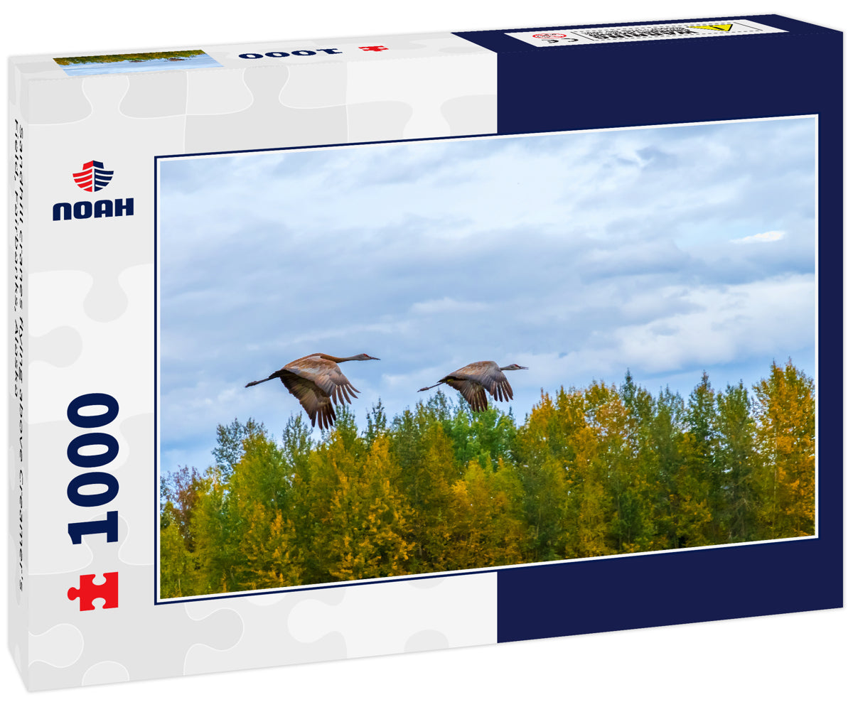 Sandhill cranes flying above Creamer's Field, Fairbanks, Alaska