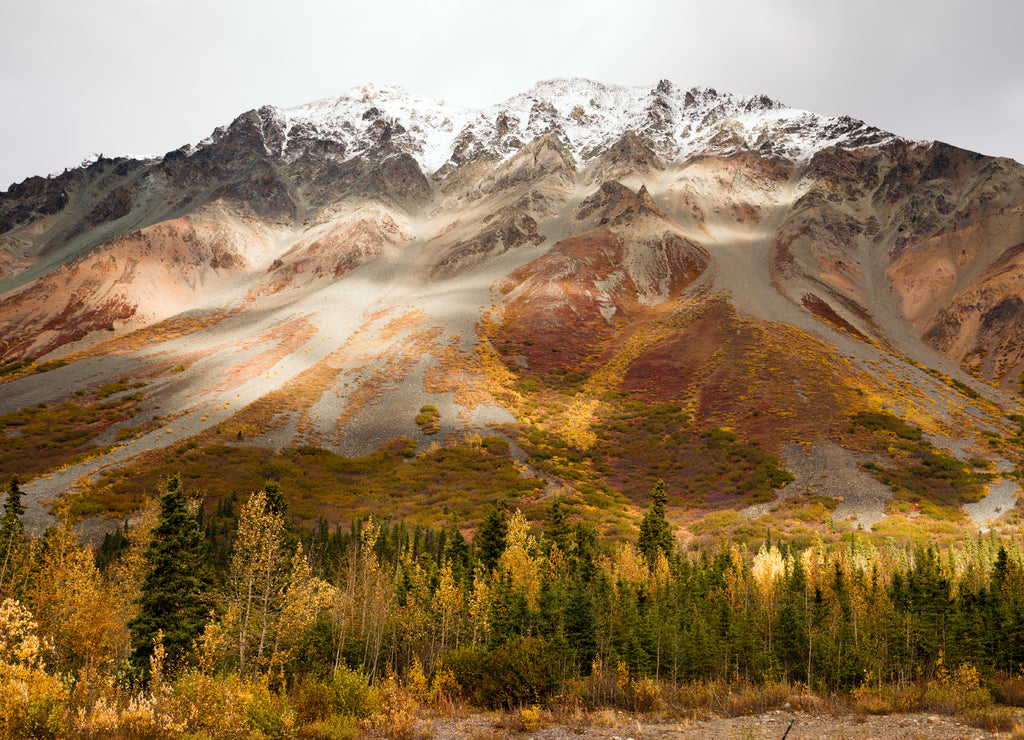 Fall Color Snow Capped Peak Alaska Range Fall Autumn Season