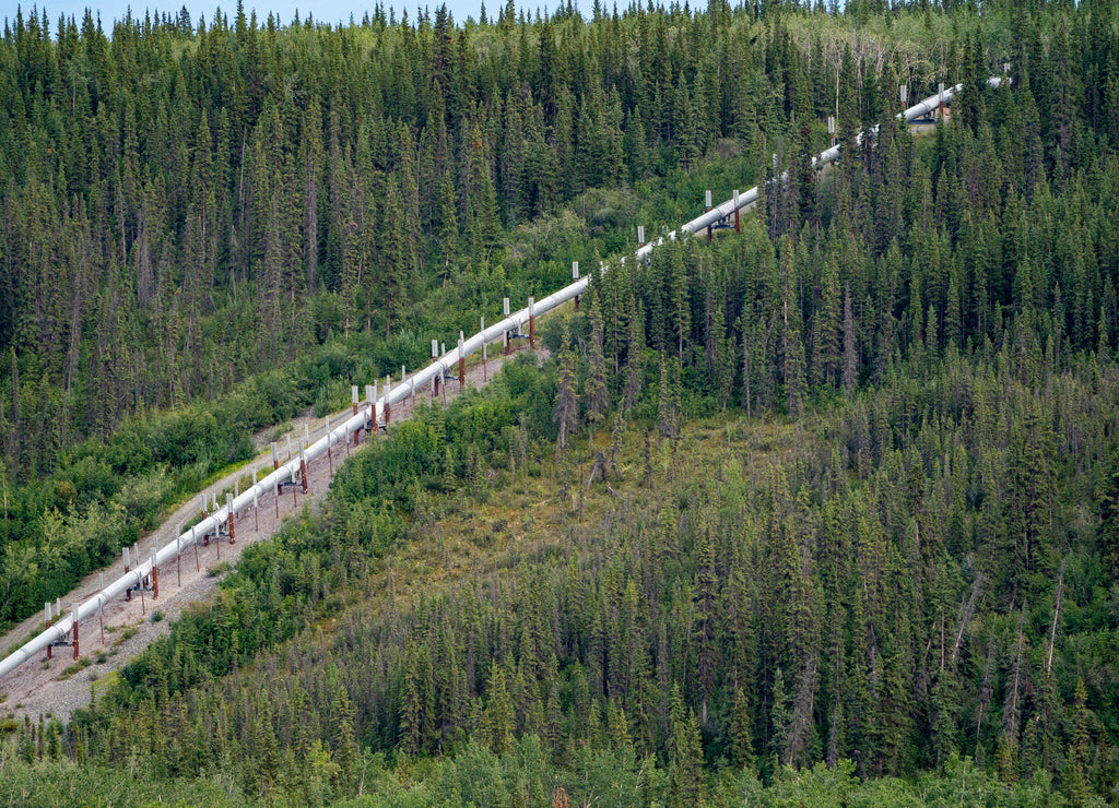 Aerial view of the Trans Alaska Pipeline from Copper Center area. Boreal forest surrounds the pipeline