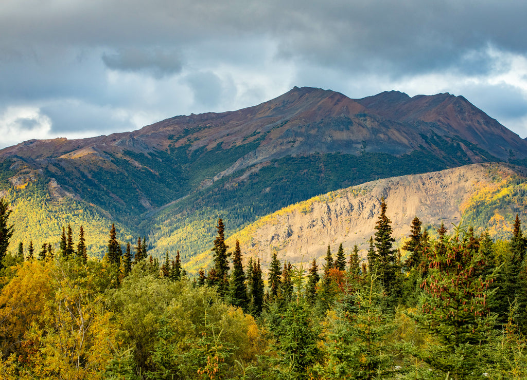 Golden fall scenic view of Denali national park at sunset, Alaska