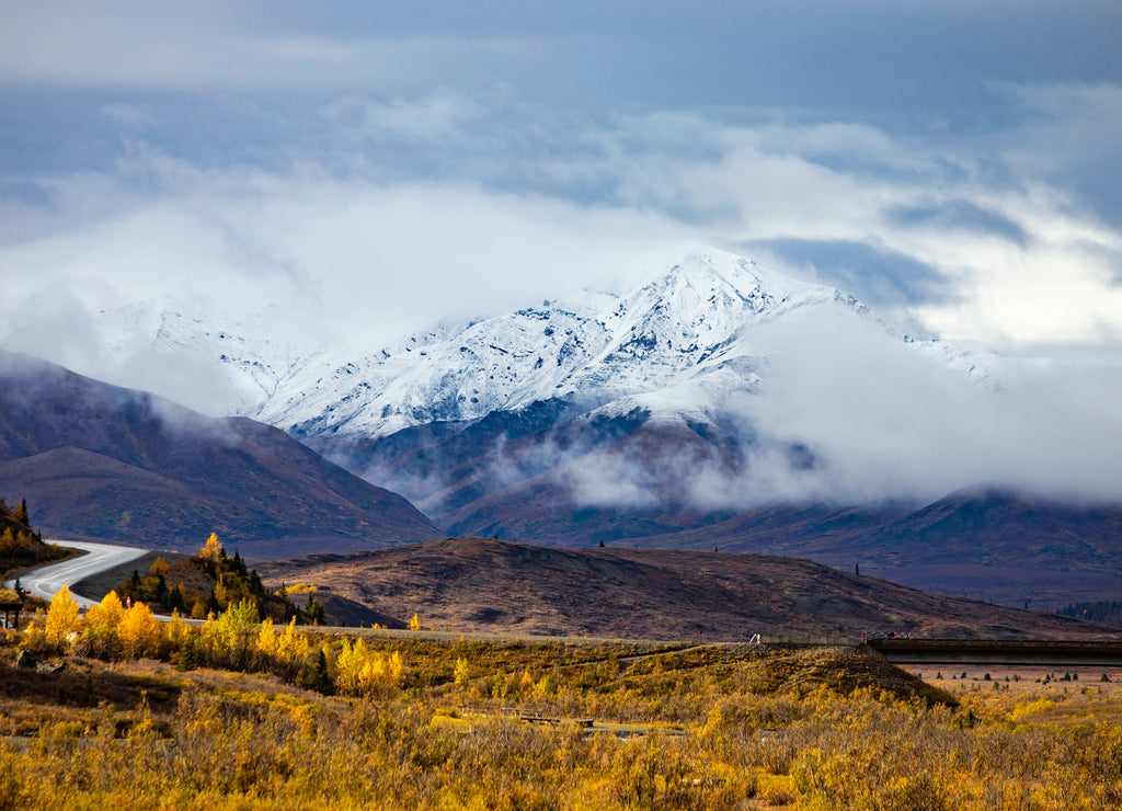 Denali national park view from Savage river Canyon trail, Alaska