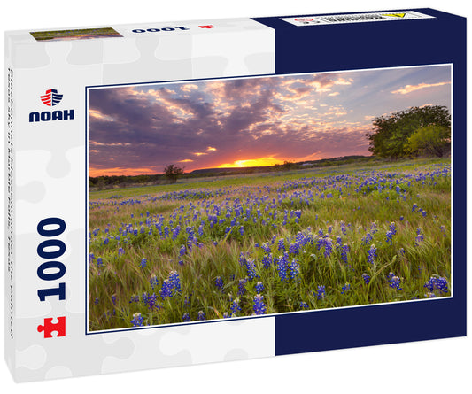 Bluebonnets blossom under the painted Texas sky in Marble Falls, Texas