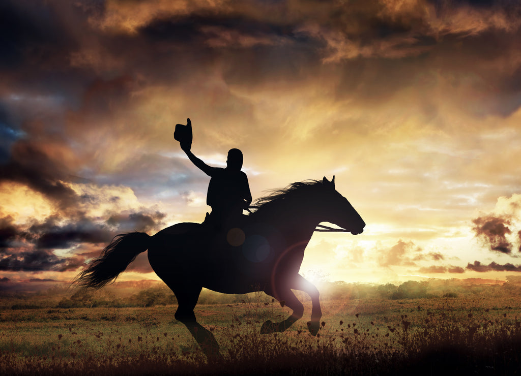 A silhouette of a cowboy and horse at sunset, Texas