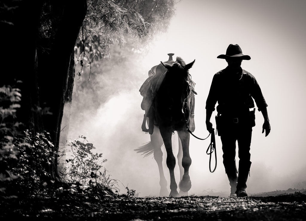 black and white picture silhouette of the cowboy and the horse in the morning sunrise, Texas