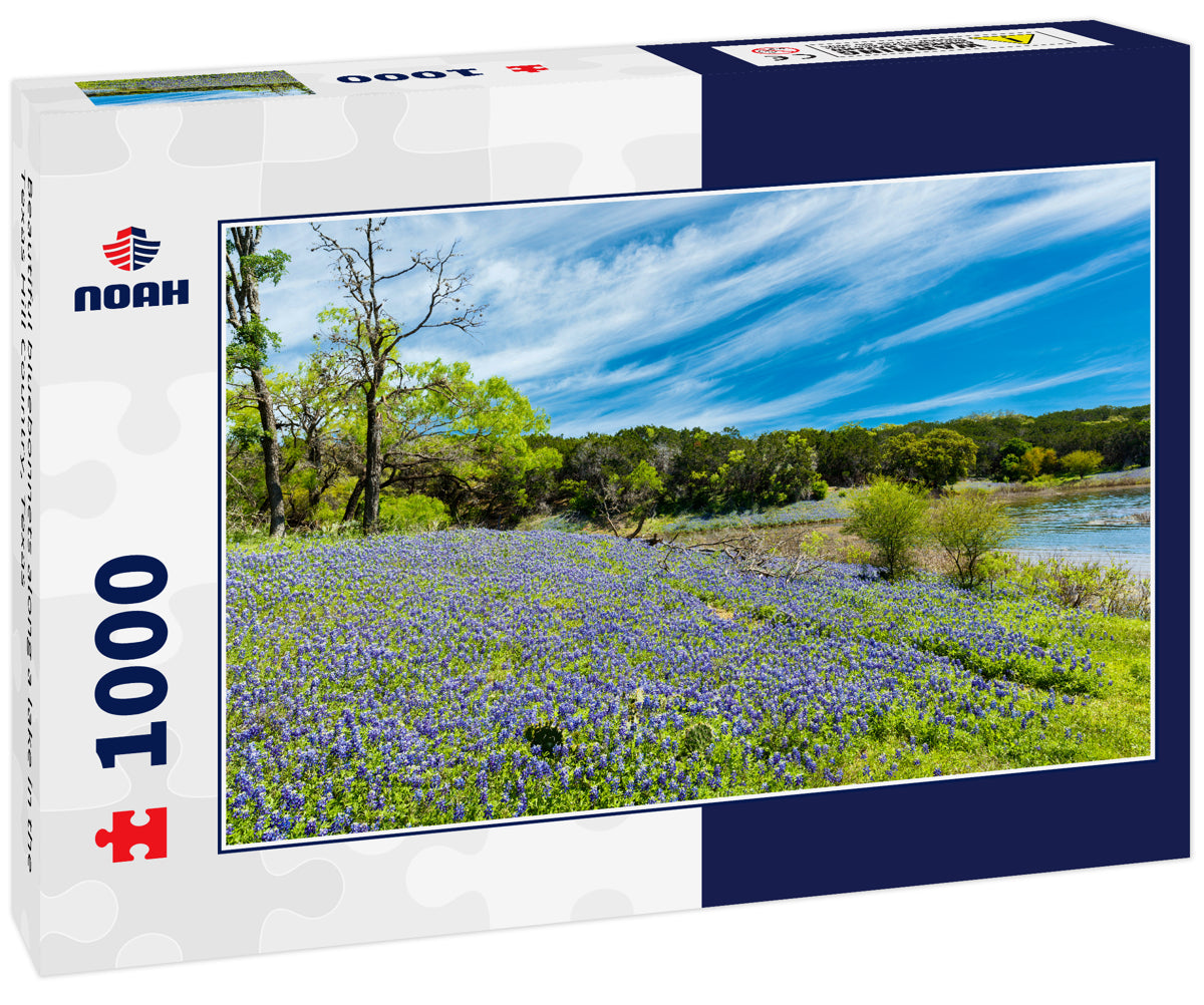 Beautiful bluebonnets along a lake in the Texas Hill Country, Texas