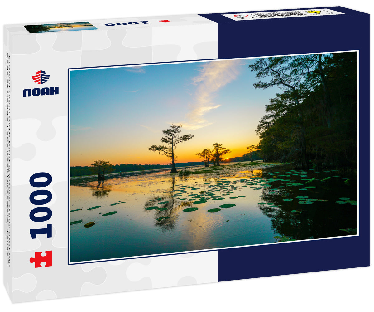 Sunset view with bald cypress trees and lily pads at Caddo Lake near Uncertain, Texas