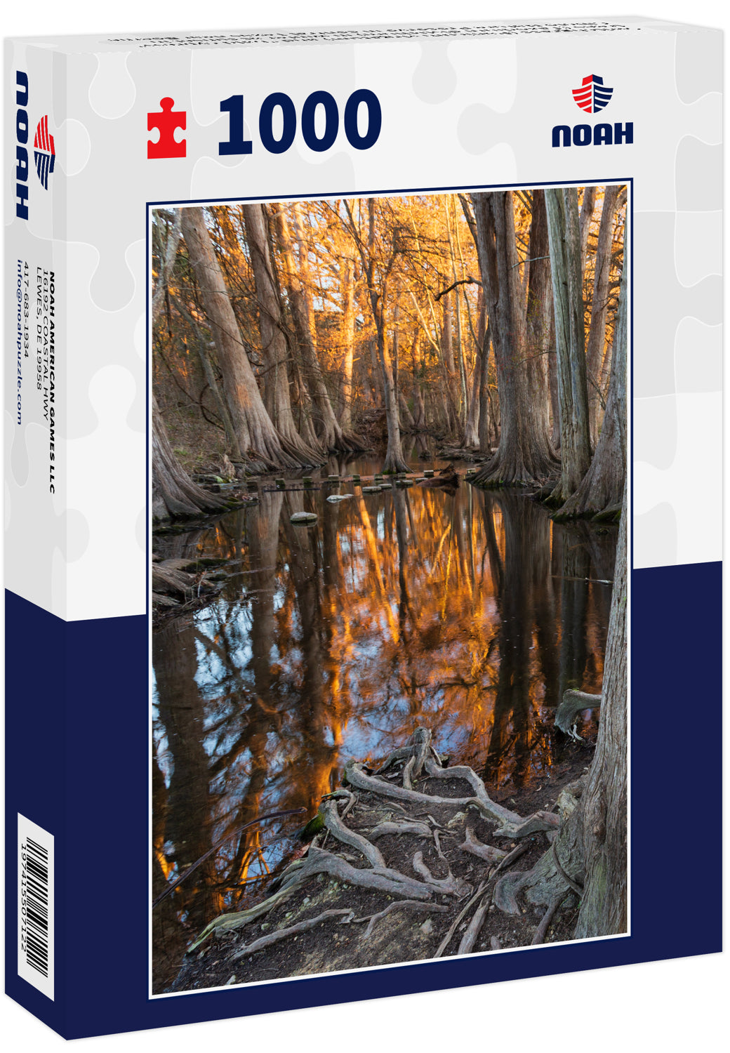 Switchgrass (Panicum virgatum) and "bald cypress" trees (Taxodium distichum) in winter at sunset in Cibolo Nature Preserve in central Texas near Boerne