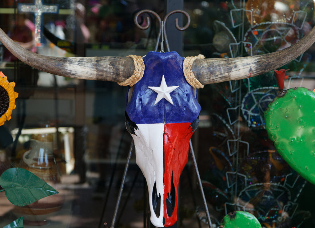 Texas bull skull painted with texas colours