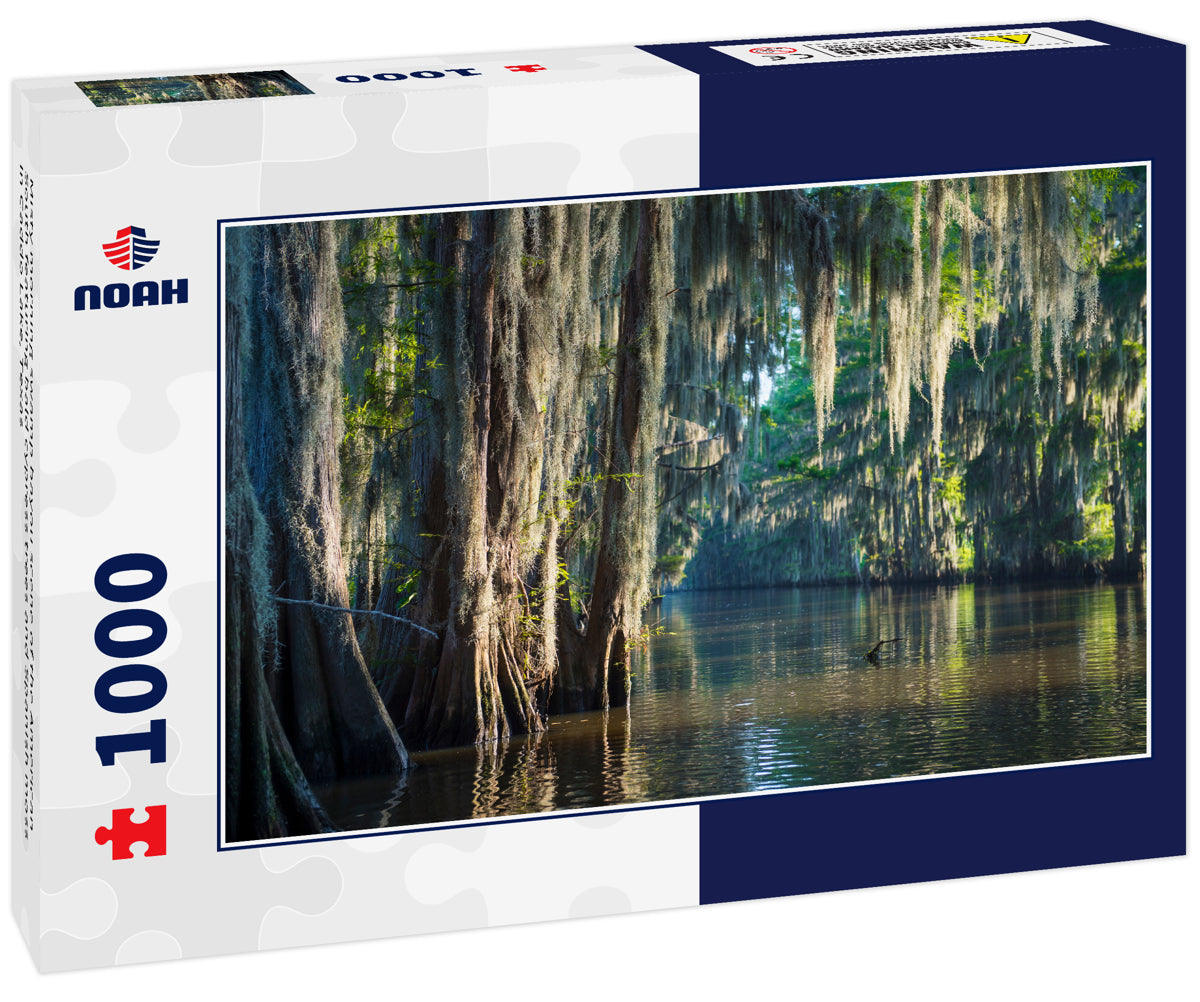 Misty morning swamp bayou scene of the American South featuring bald cypress trees and Spanish moss in Caddo Lake, Texas