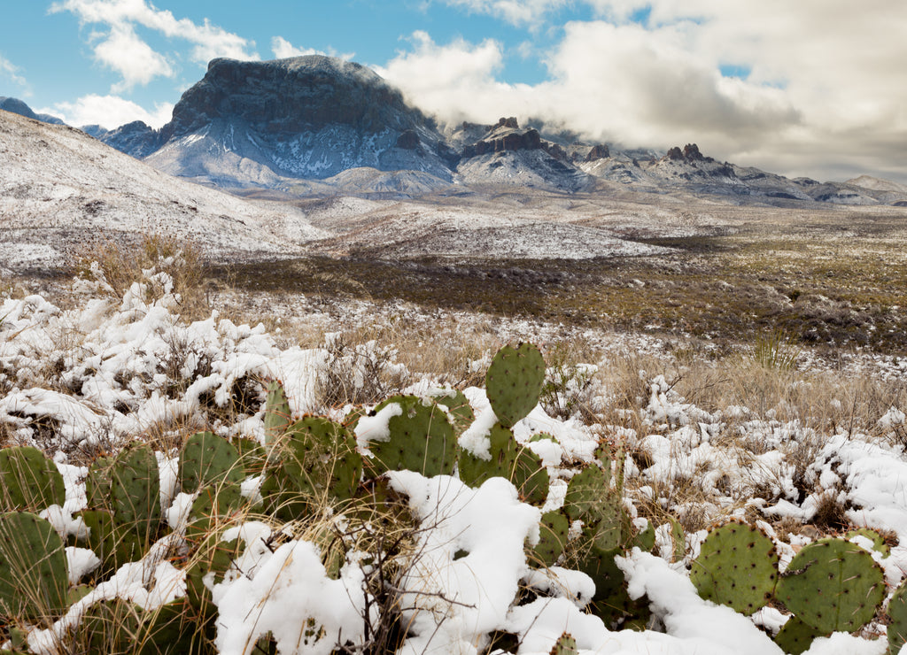 Chisos Mountains snowy desert Big Bend NP Texas USA