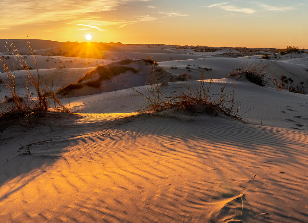 Hills of sand dunes at sunrise with small mounds of grass and high clouds illuminated by the sun, Monahans Sandhills State Park, Texas