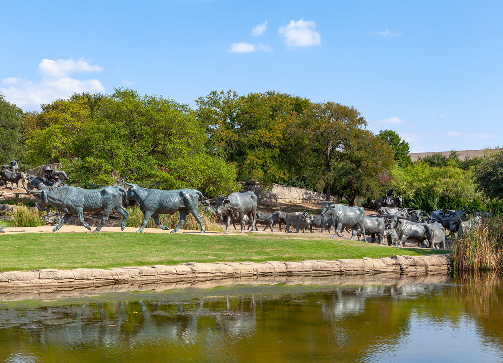 Cattle Drive sulptures in Dallas, Texas. Famous touristic place