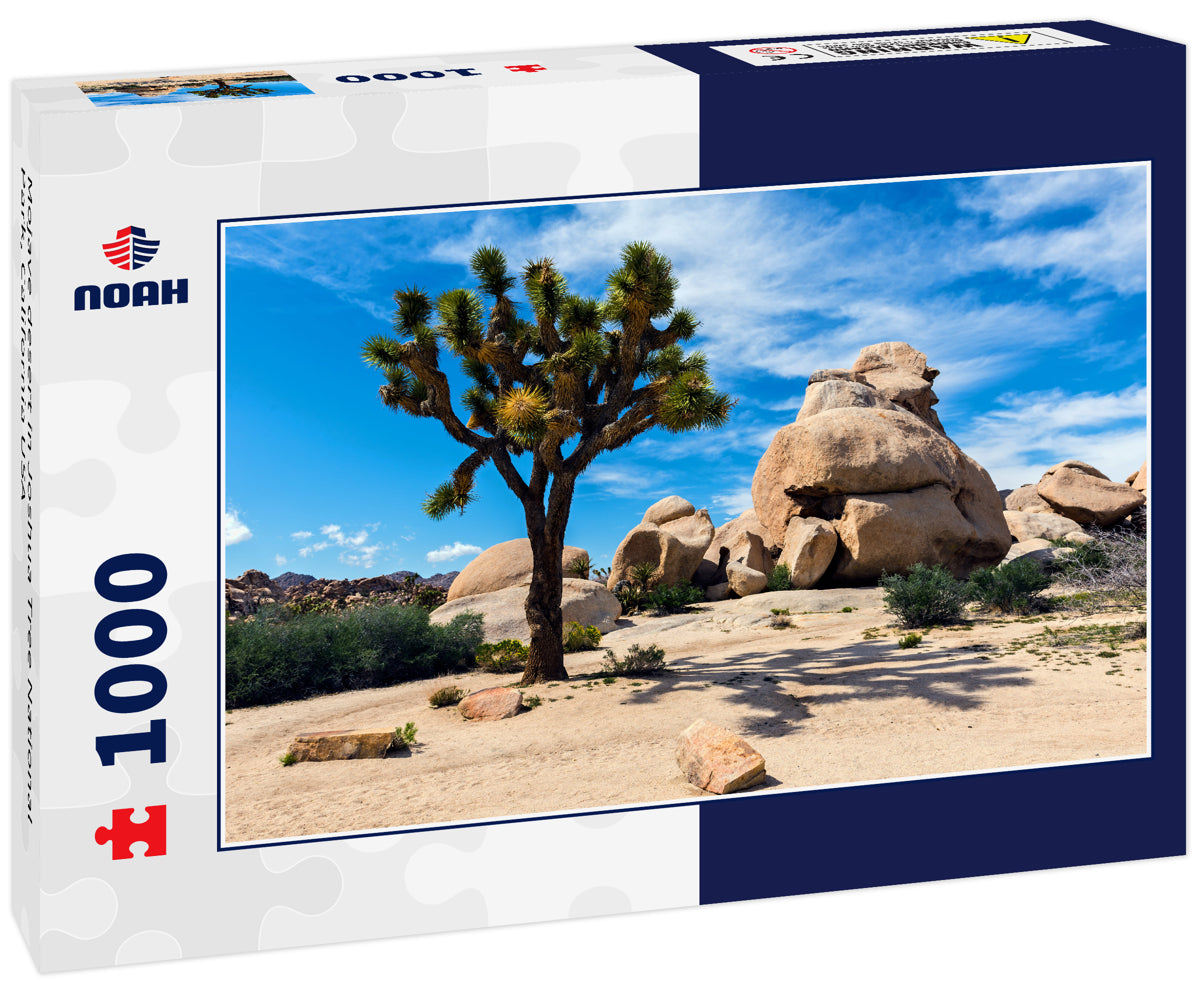 Mojave desert in Joshua Tree National Park, California USA