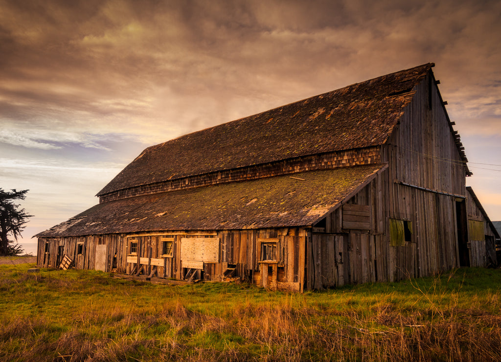 Abandoned Barn on the Mendocino Coast of California