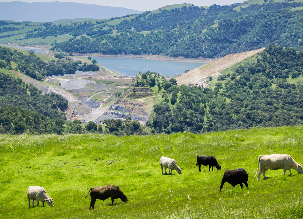 Calaveras Reservoir and nearby quarry, San Francisco bay area, California