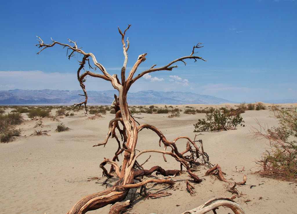 Death valley, USA, California, Nevada