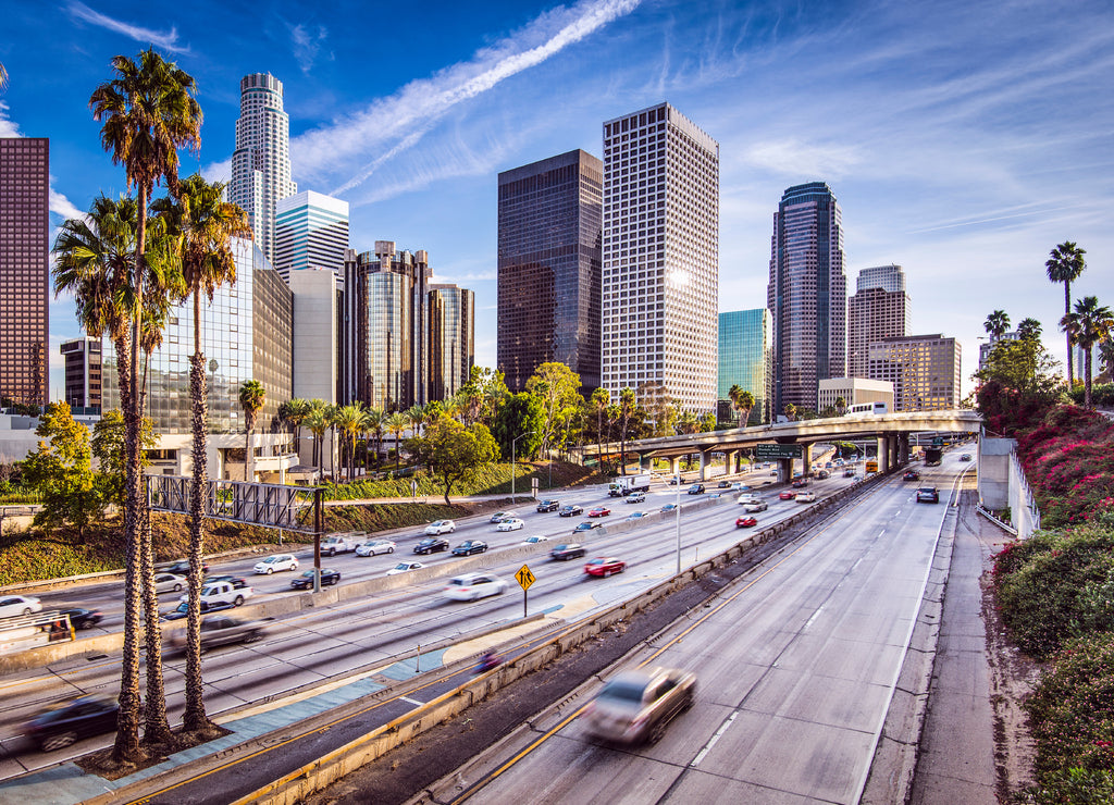 Downtown Los Angeles, California Cityscape