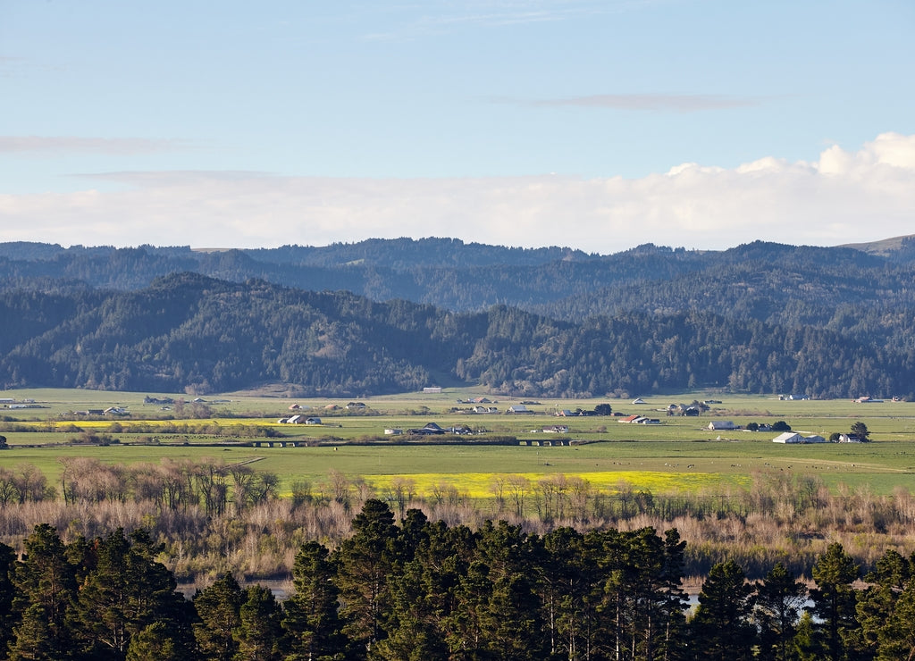 Early morning scenery of farmland near Eureka, California in Humboldt County