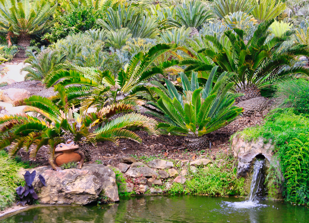 Exploring exotic gardens in Santa Barbara California