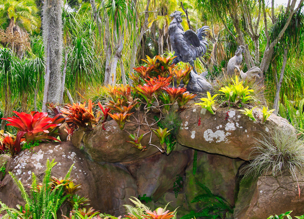 Exploring exotic gardens in Santa Barbara California