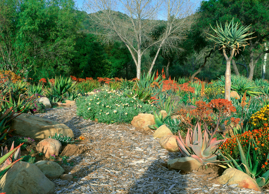 Garden At Center for Earth Concerns, Ojai, California